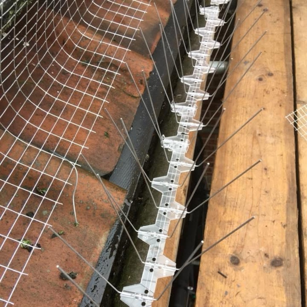 Bird spikes next to bird mesh on a roof with solar panels