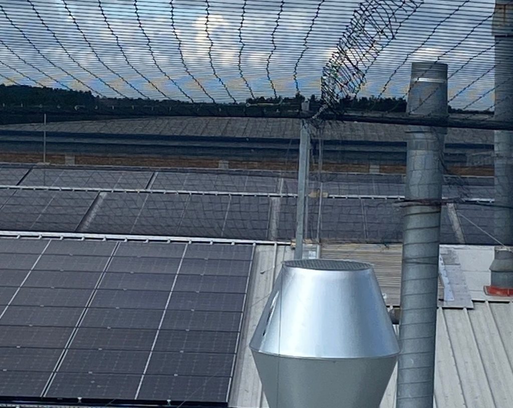 Solar panels with bird netting for bird control