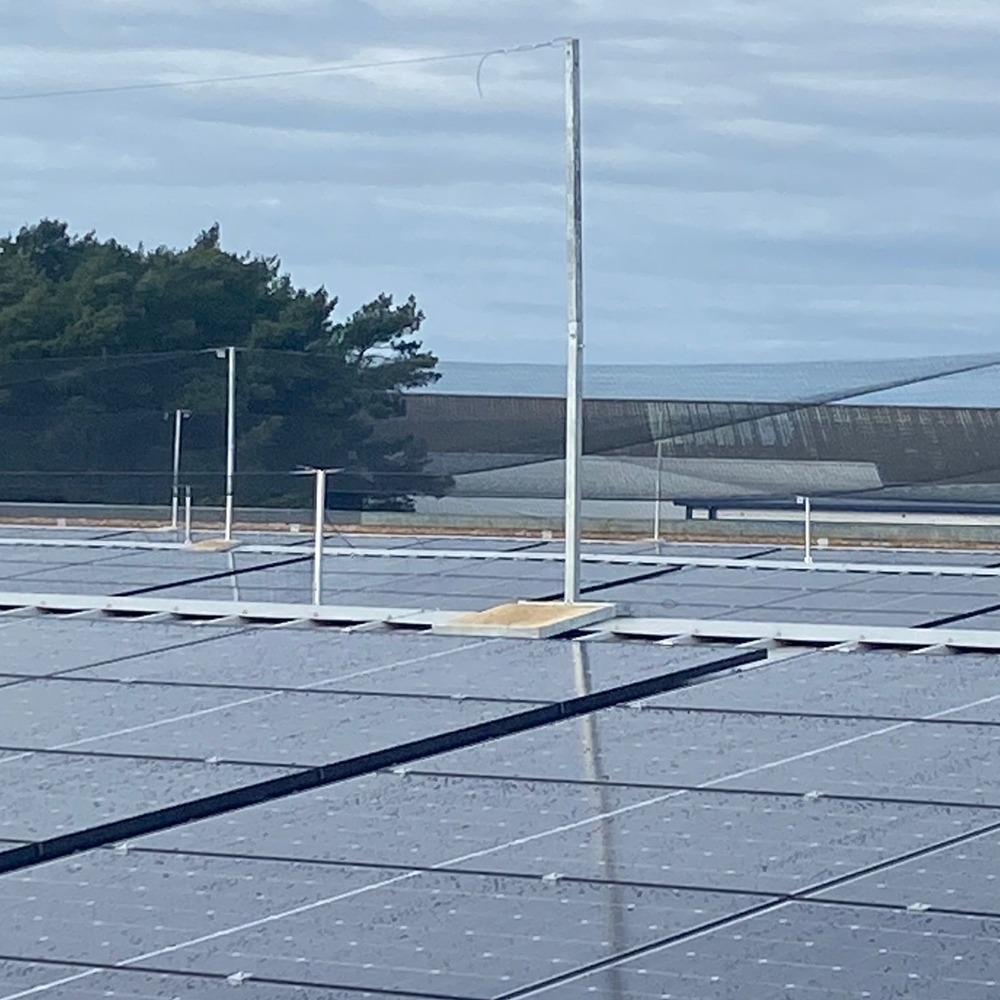 A large solar panel system with bird netting over it