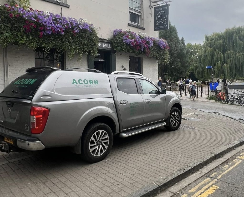 Emergency pest control visit in progress with a grey branded Acorn Pest Management van