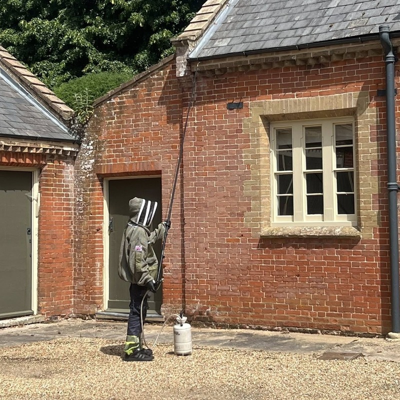 A pest controller carrying out domestic pest control